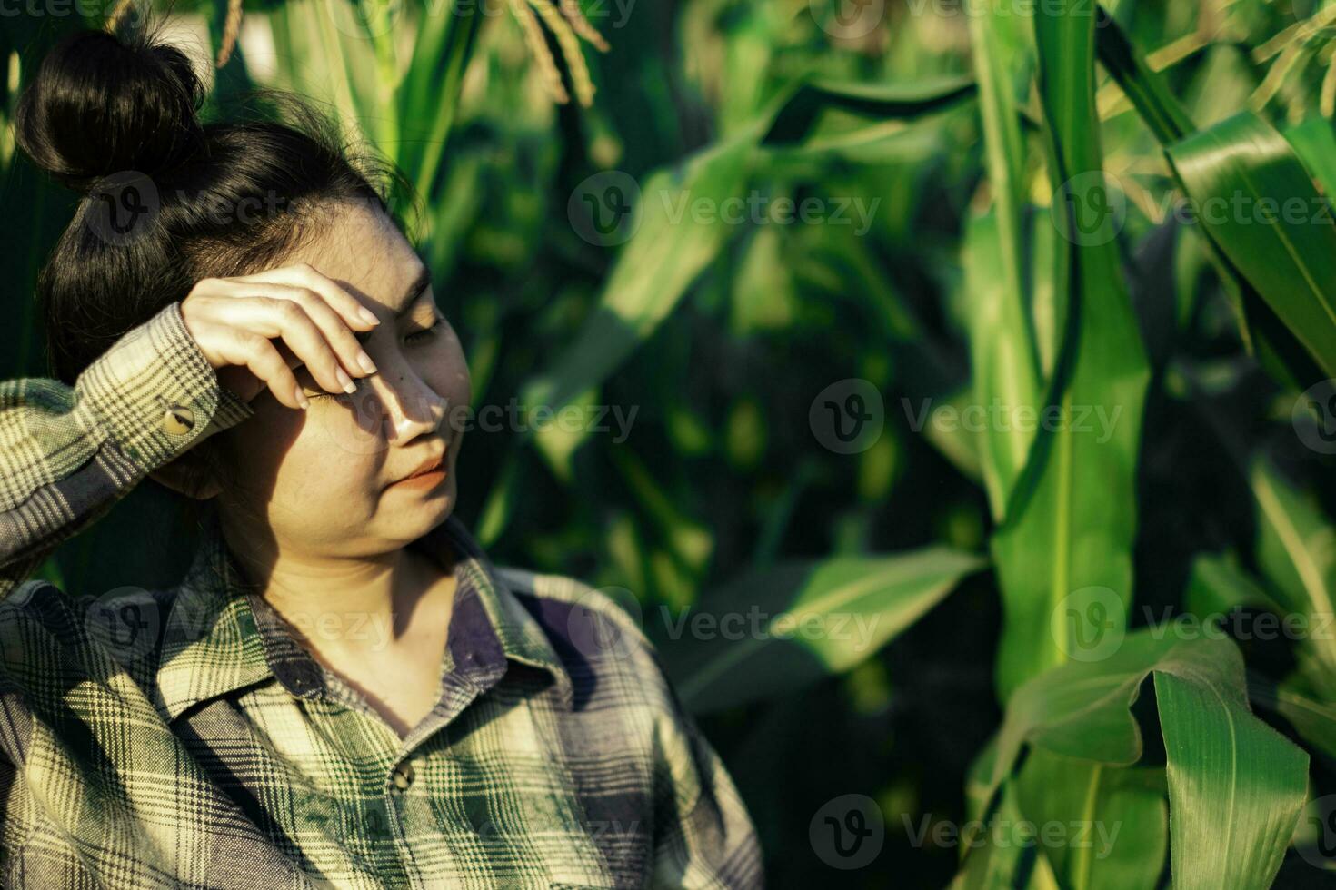 joven agricultor observando algunos gráficos de maíz en archivados foto