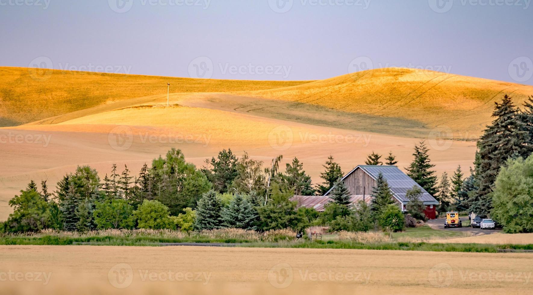 campos de cultivo de trigo mágico en palouse washington foto