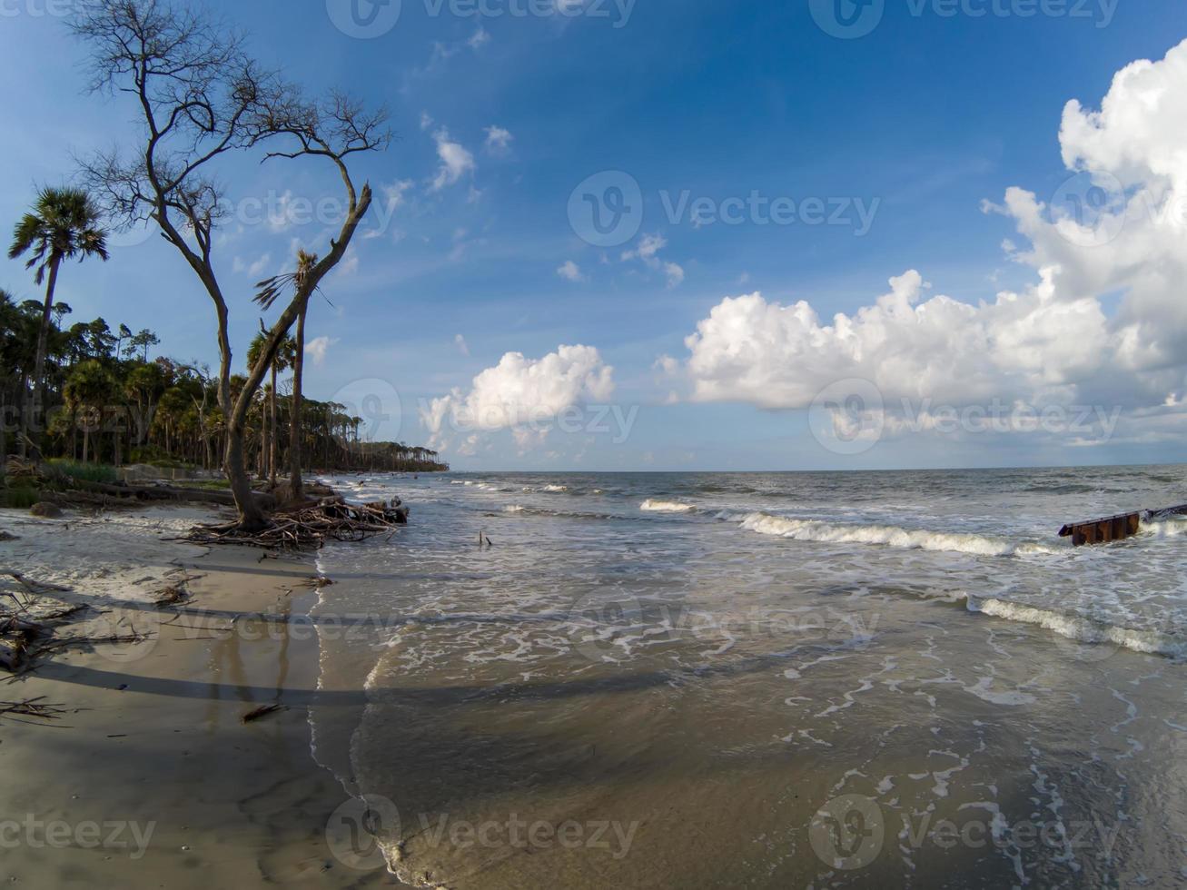 escenas de playa en la isla de caza de carolina del sur foto