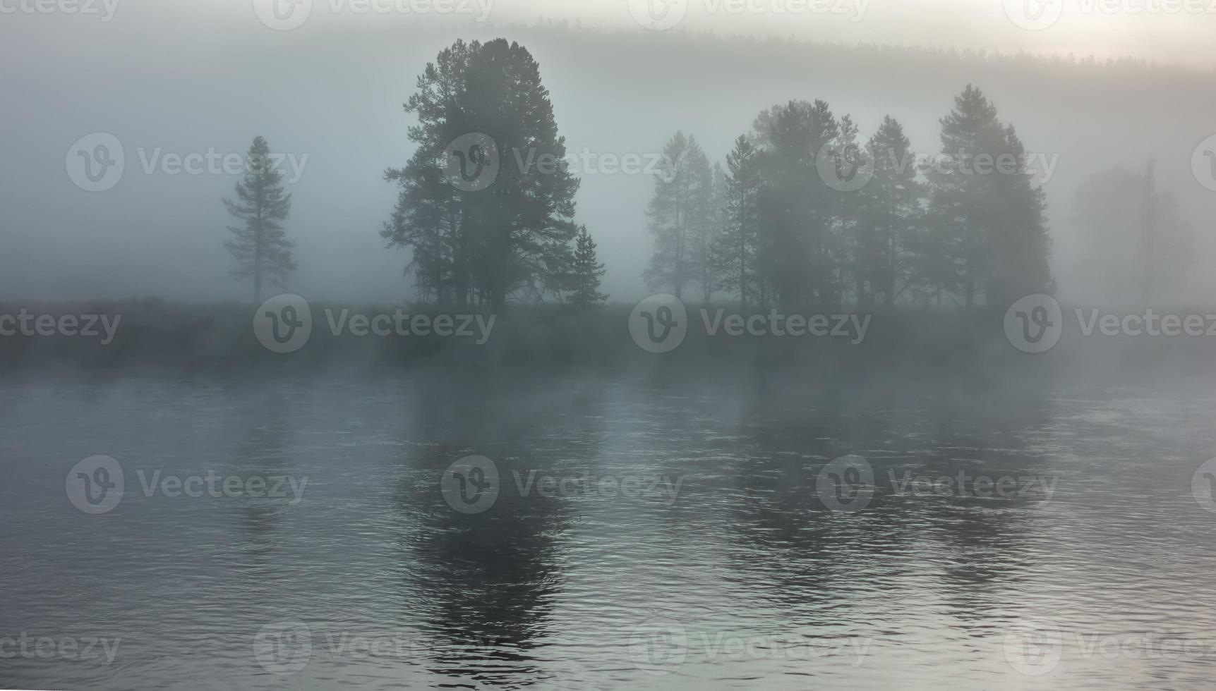 morning nature scenes in hayden valley yellostone wyoming photo