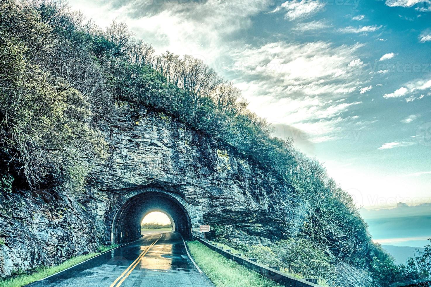 early morning spring tunnel near craggy gardens north carolina photo