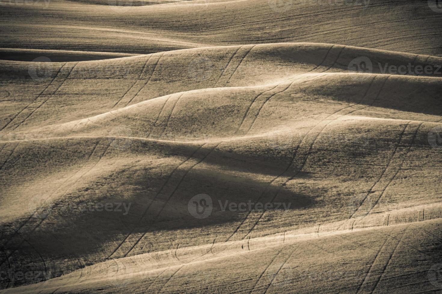 campos de cultivo de trigo mágico en palouse washington foto