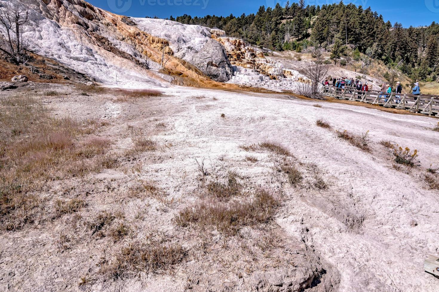 hermoso paisaje en mamut hot spring en yellowstone foto