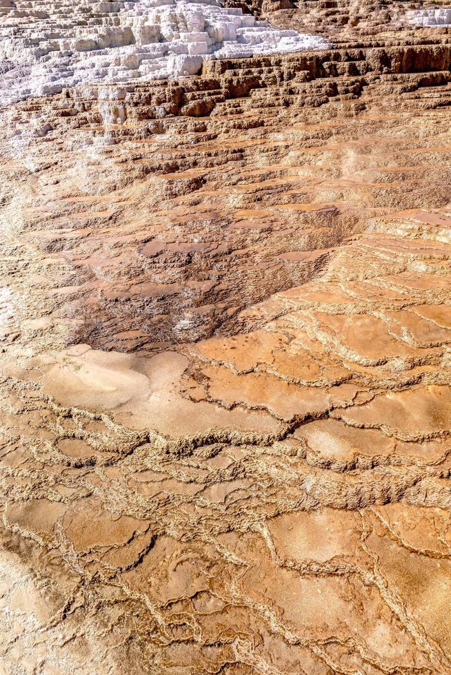 hermoso paisaje en mamut hot spring en yellowstone foto