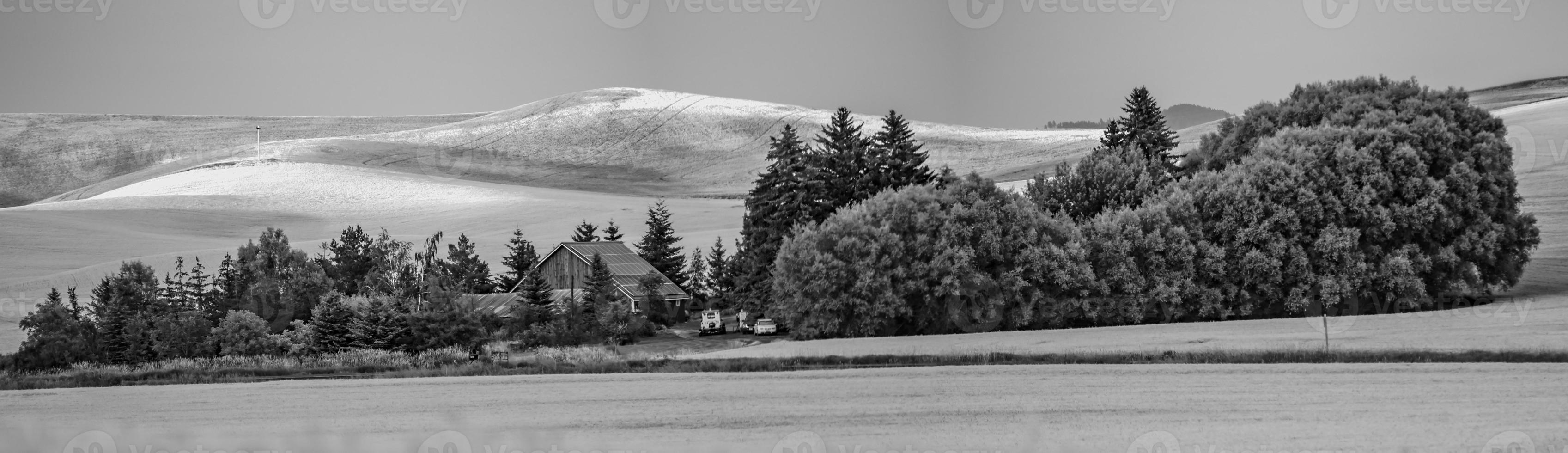 magical wheat farm fields in palouse washington photo