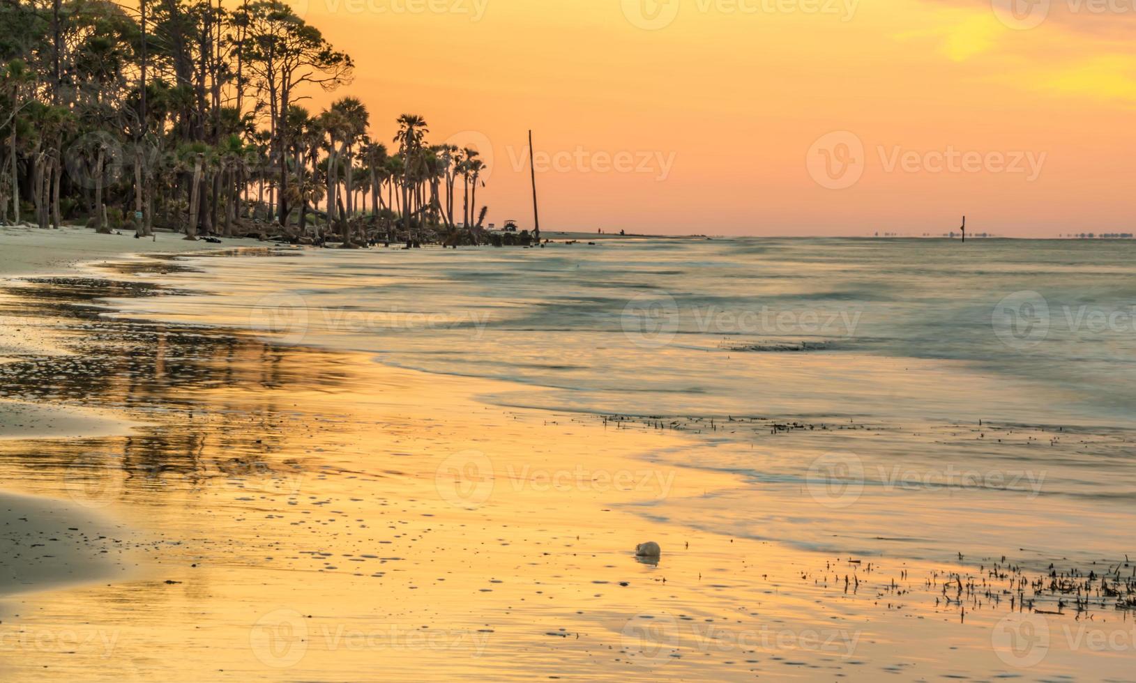 scenes around hunting island south carolina in summer photo