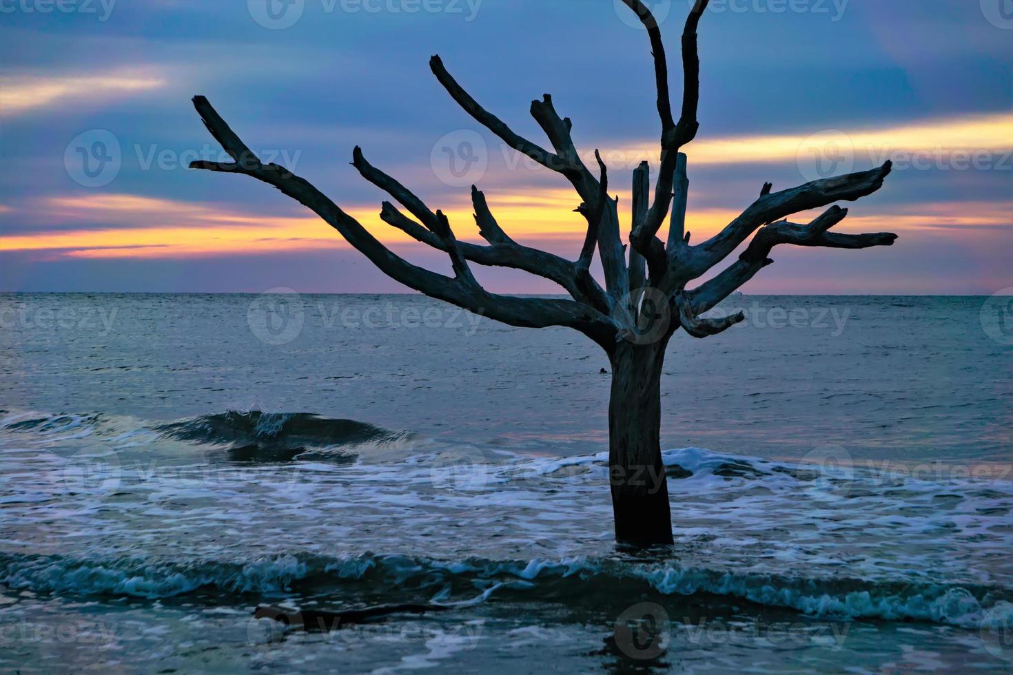 escenas alrededor de la isla de caza de carolina del sur en verano foto