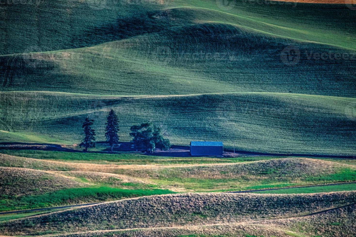 campos de cultivo de trigo mágico en palouse washington foto