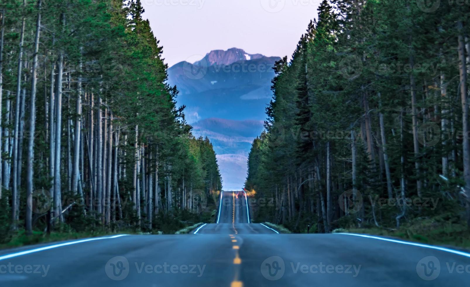 road through forest leading to grand tetons photo