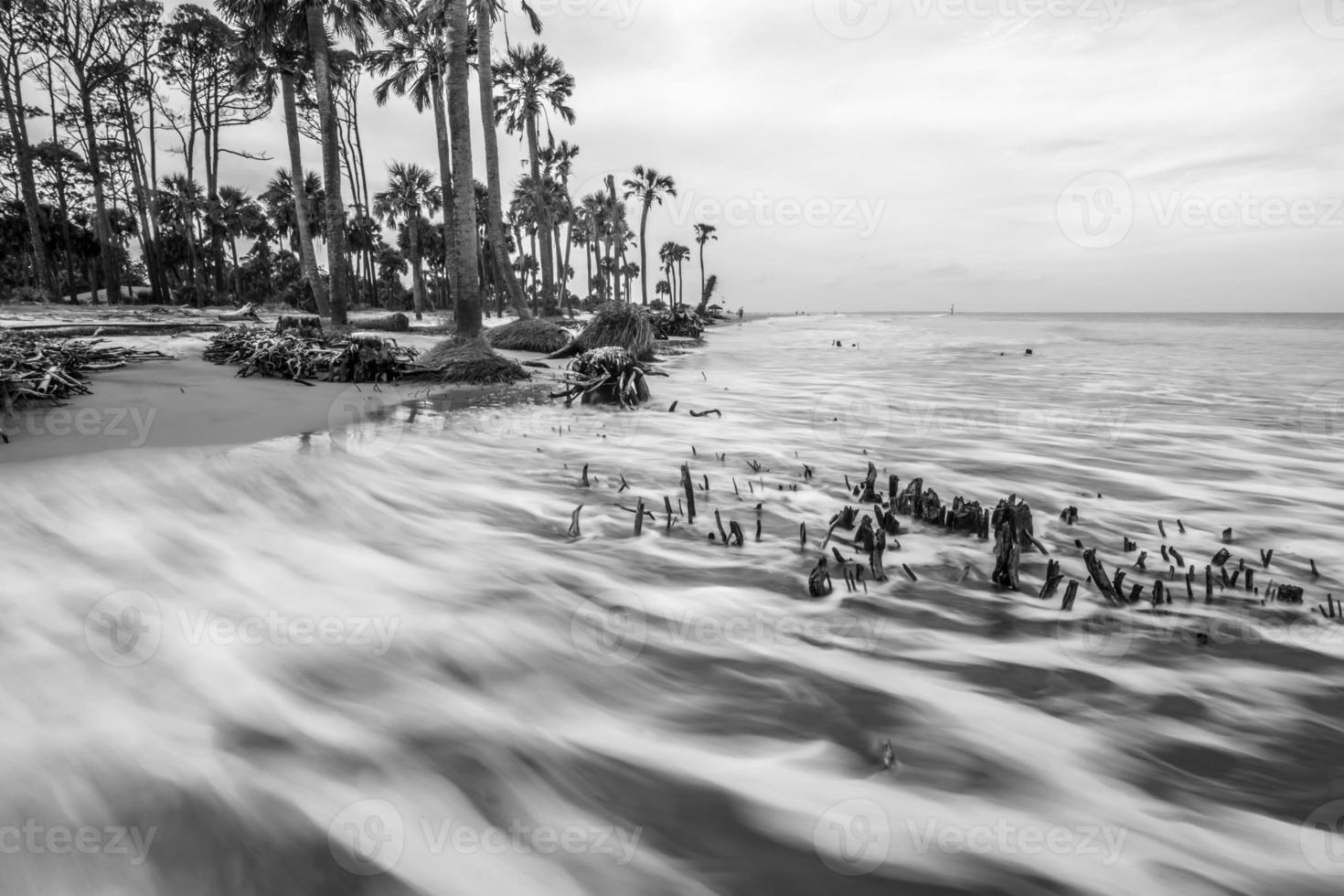 isla de caza escenas de playa de carolina del sur foto