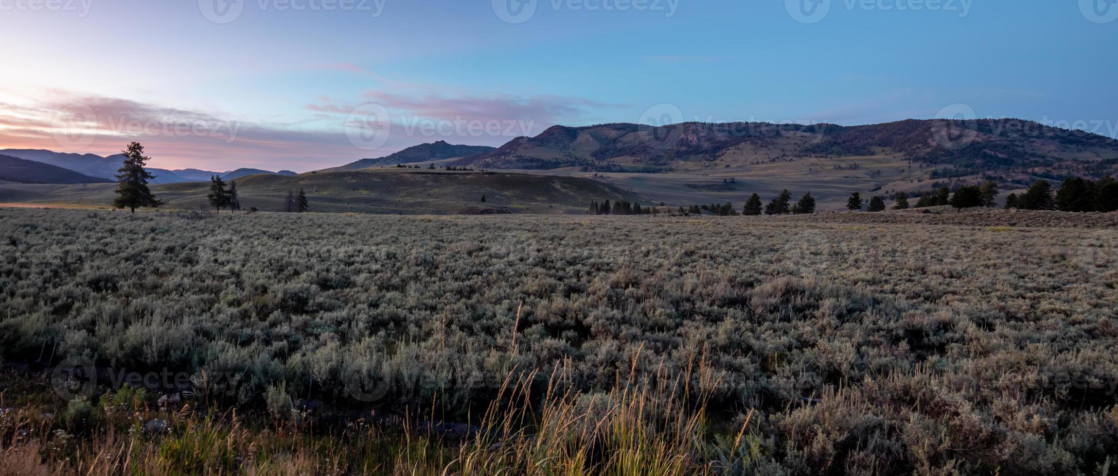 scenes around Hayden Valley in Yellowstone photo