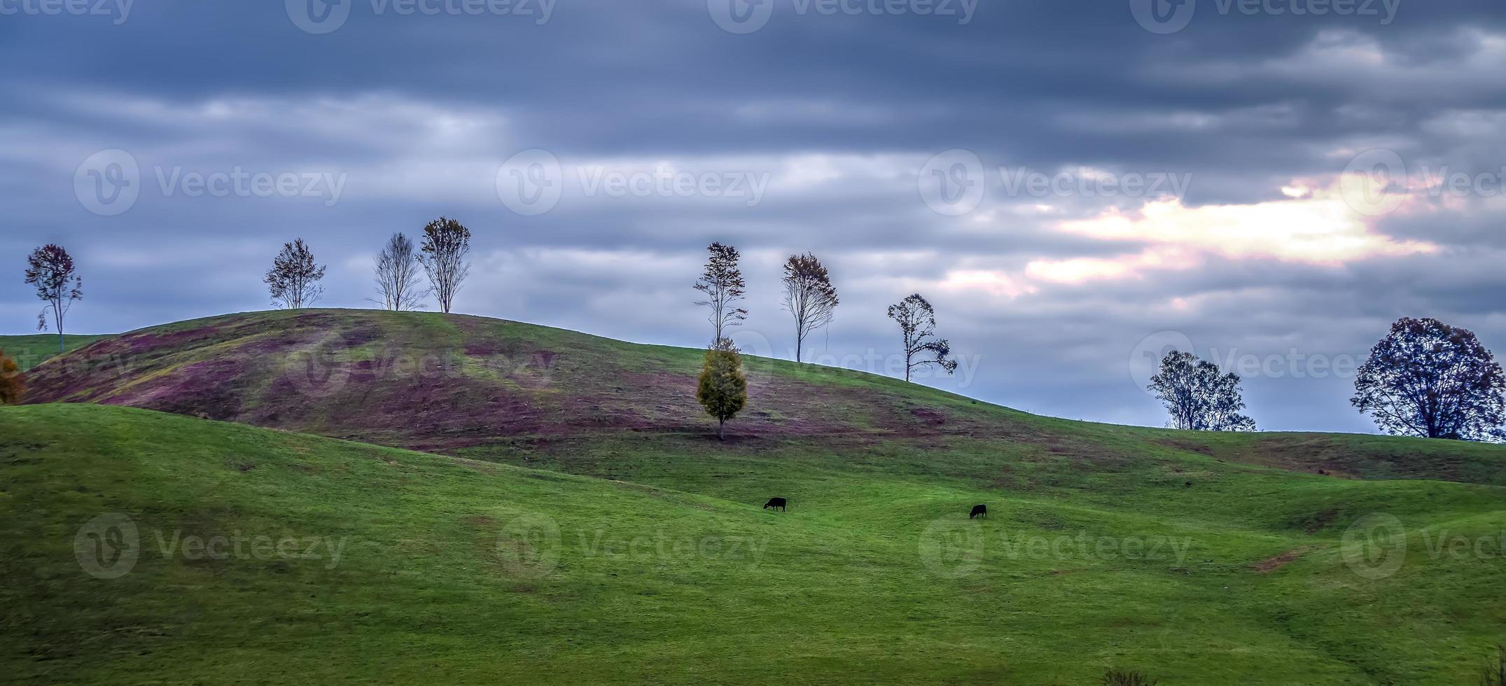 pintoresco paisaje otoñal en virginia occidental foto