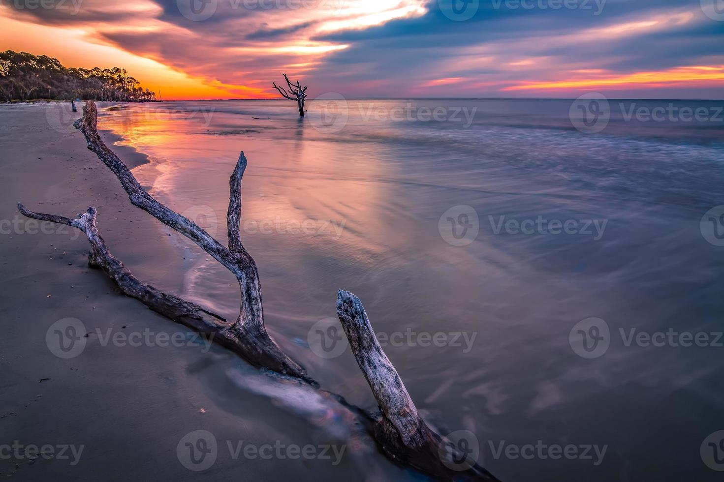 beautiful nature on hunting island south carolina photo