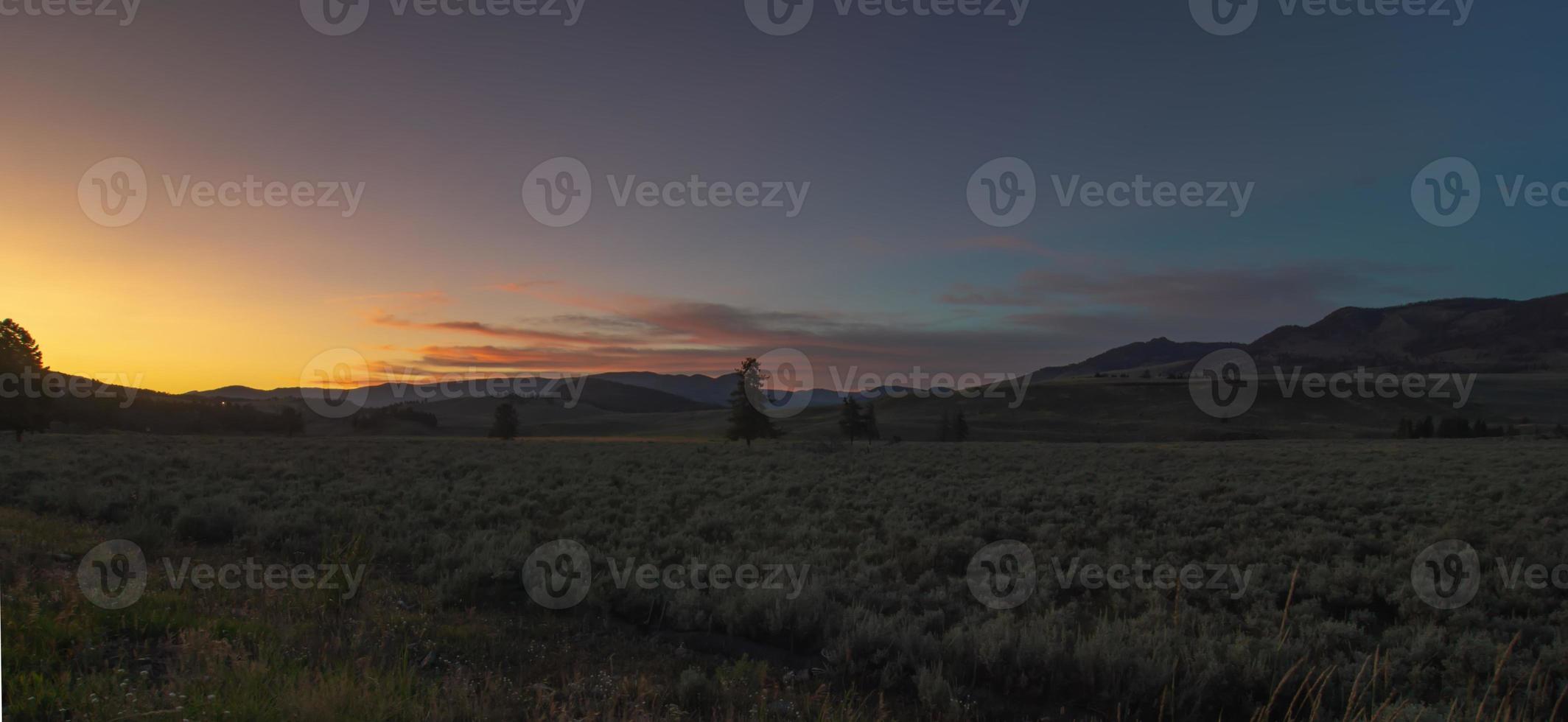 scenes around Hayden Valley in Yellowstone photo