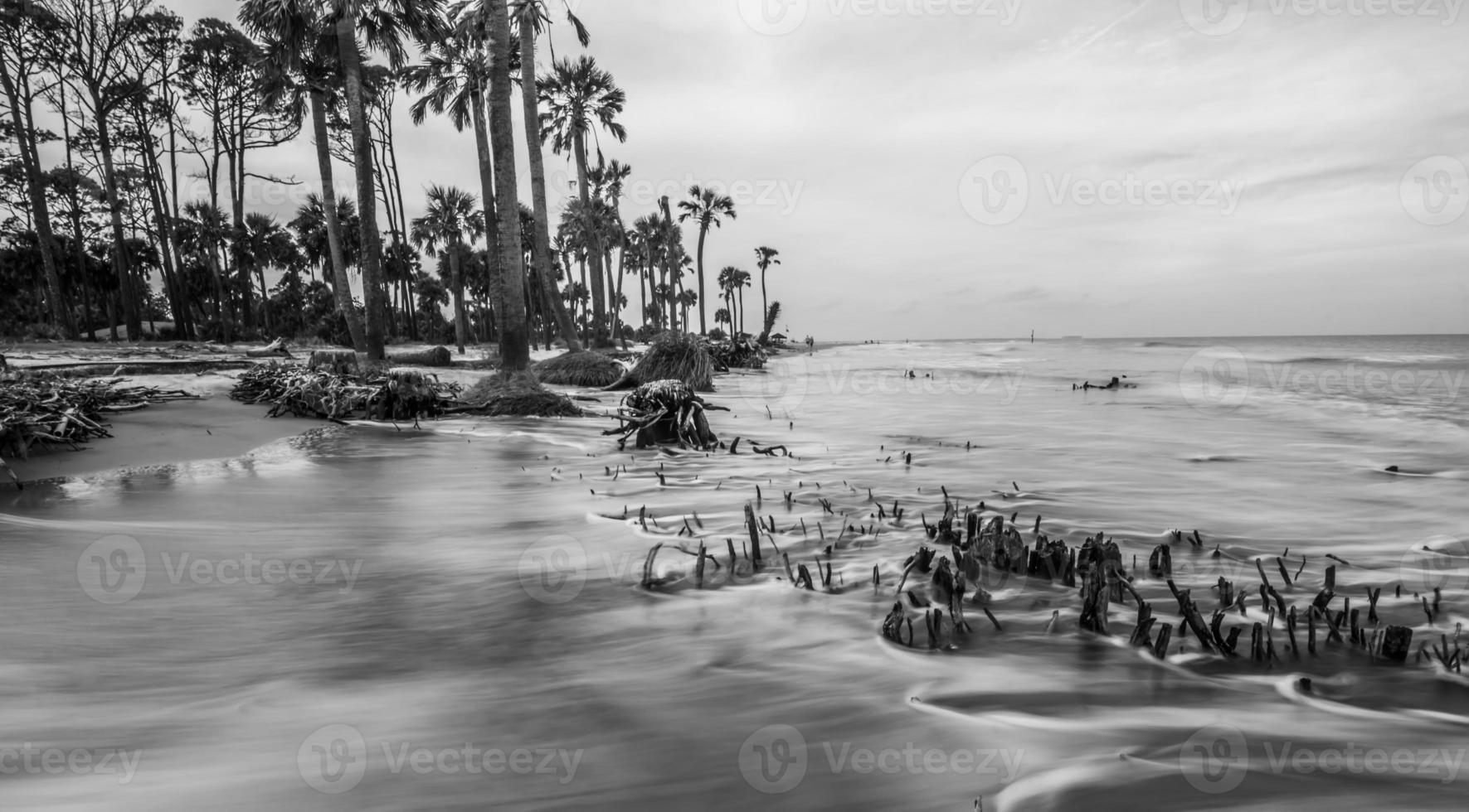 isla de caza escenas de playa de carolina del sur foto