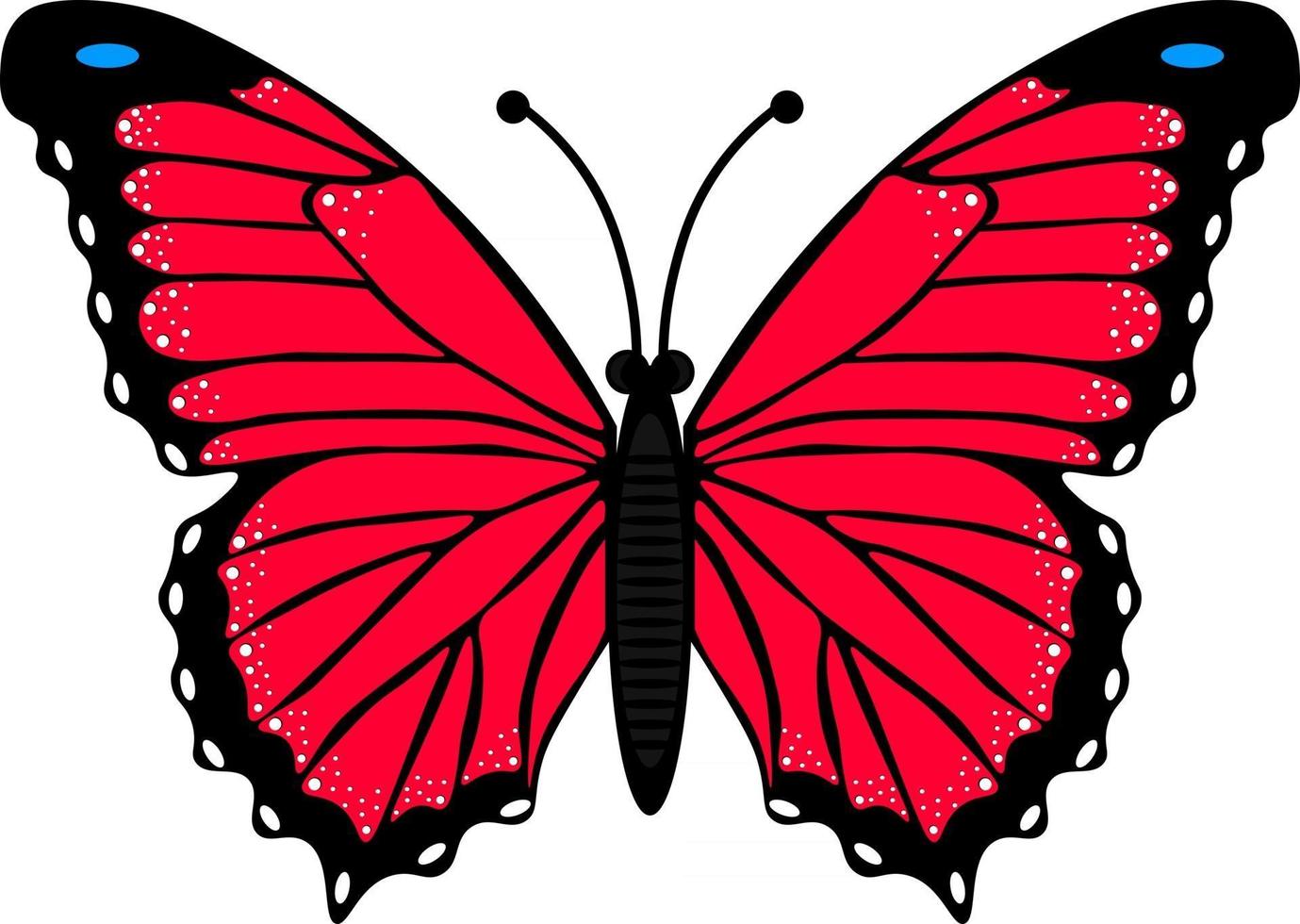 Butterfly. A simple drawing of an insect with red wings. vector