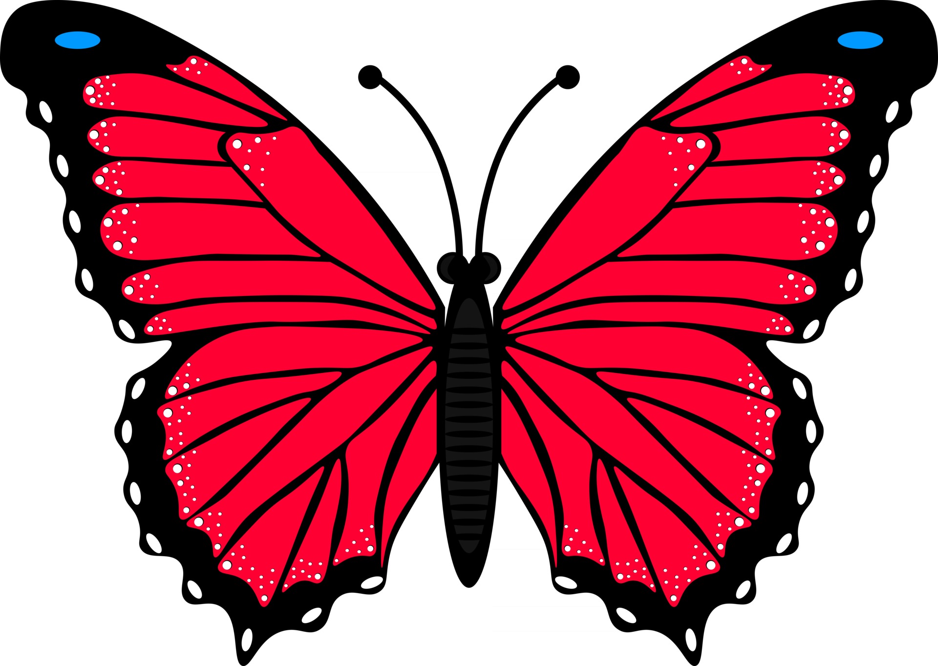 Red Butterfly Vector Art, Icons, and Graphics for Free Download