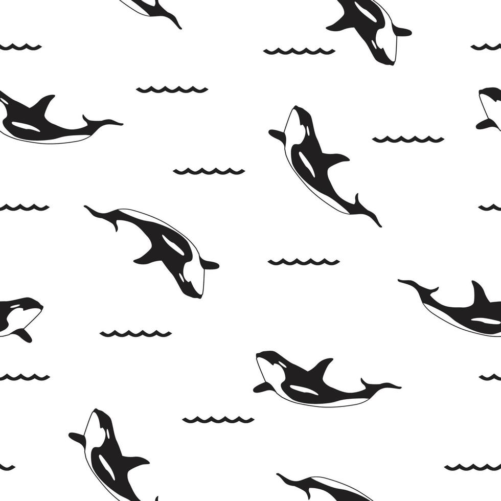 beautiful seamless orca whale with black and white background vector