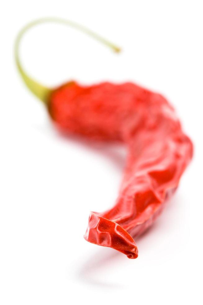 Dry red chili peppers photo