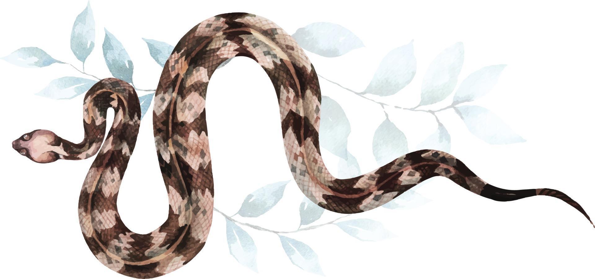 illustration Snake with watercolors vector