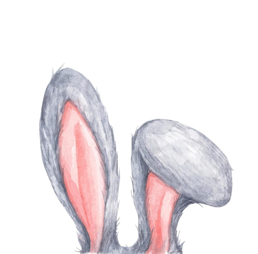Bunny rabbit ears. Easter concept. Watercolor illustration. vector