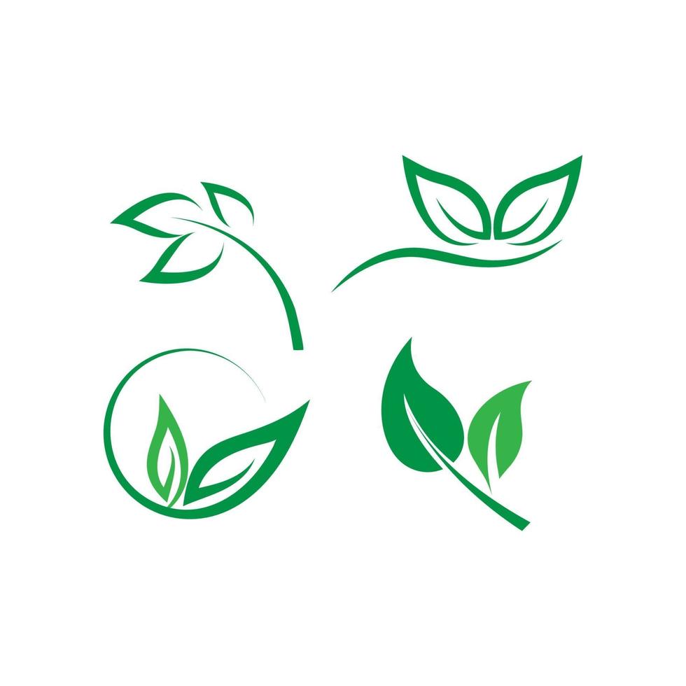 logo de hoja verde vector