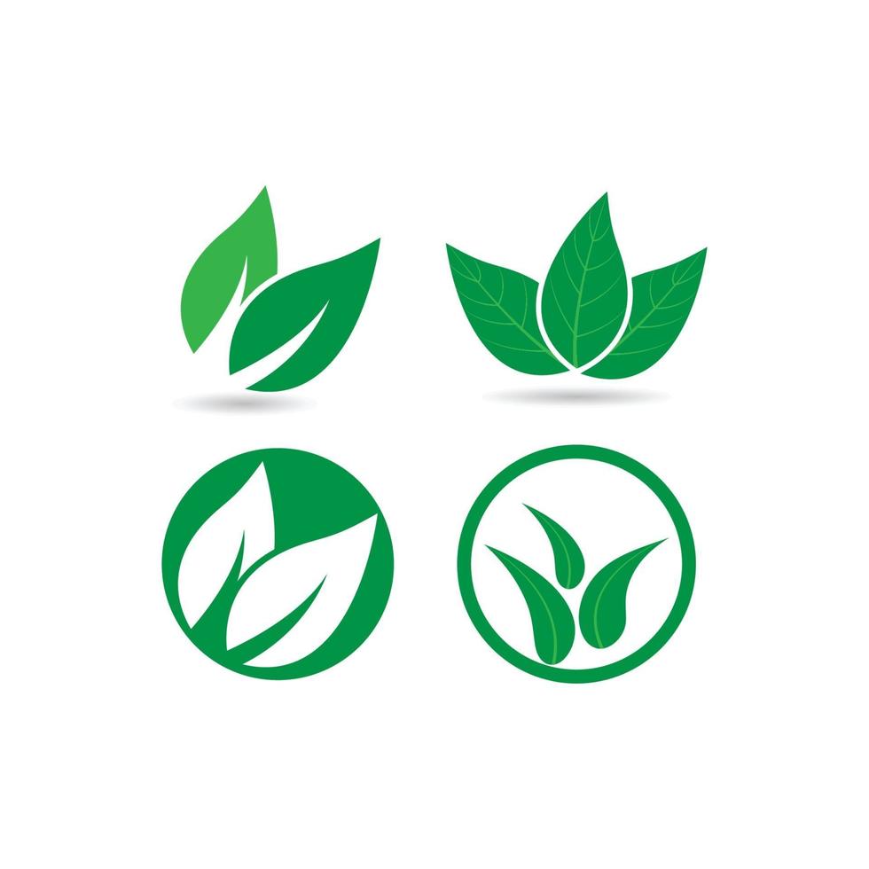 logo de hoja verde vector