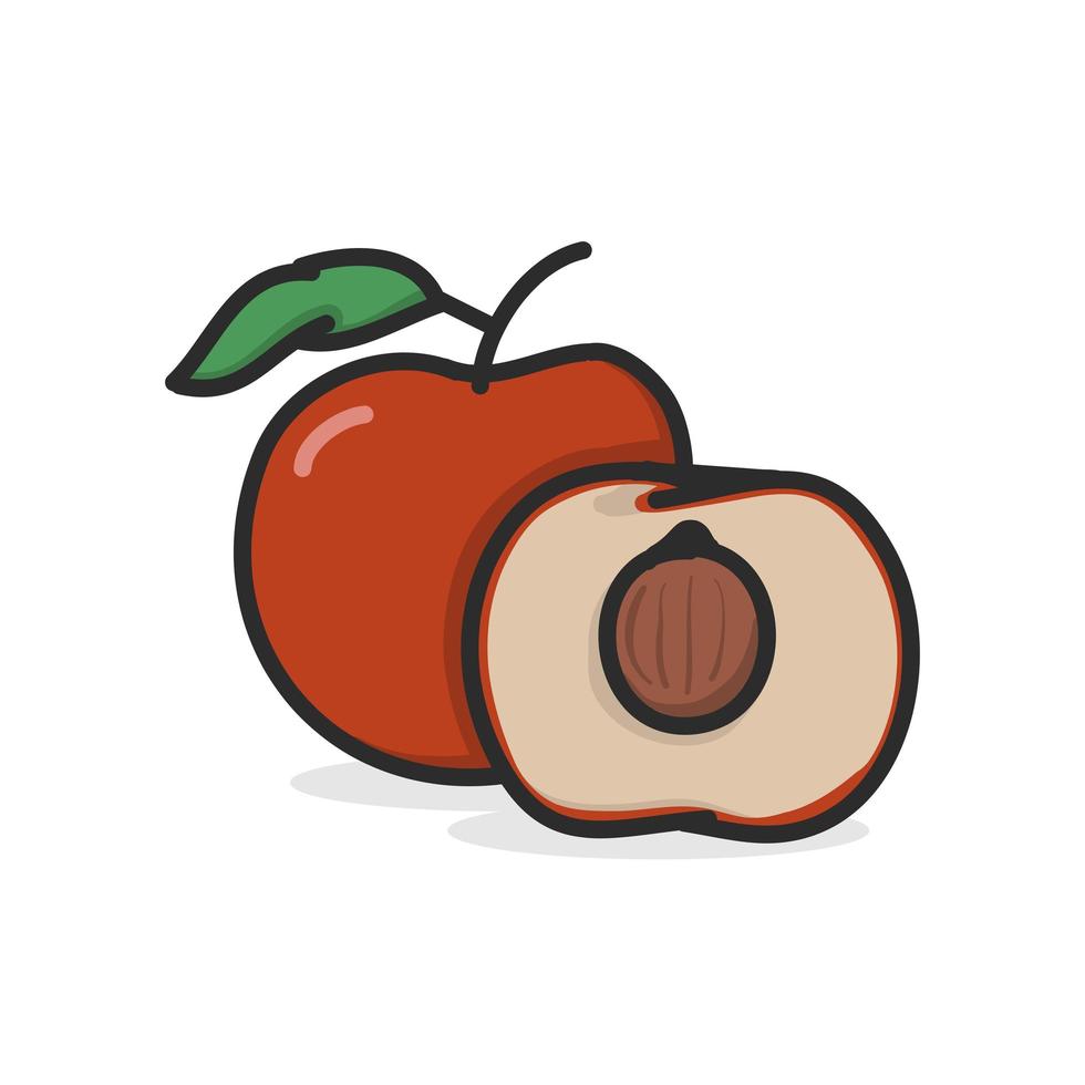 Nectarine hand drawn illustration flat color vector