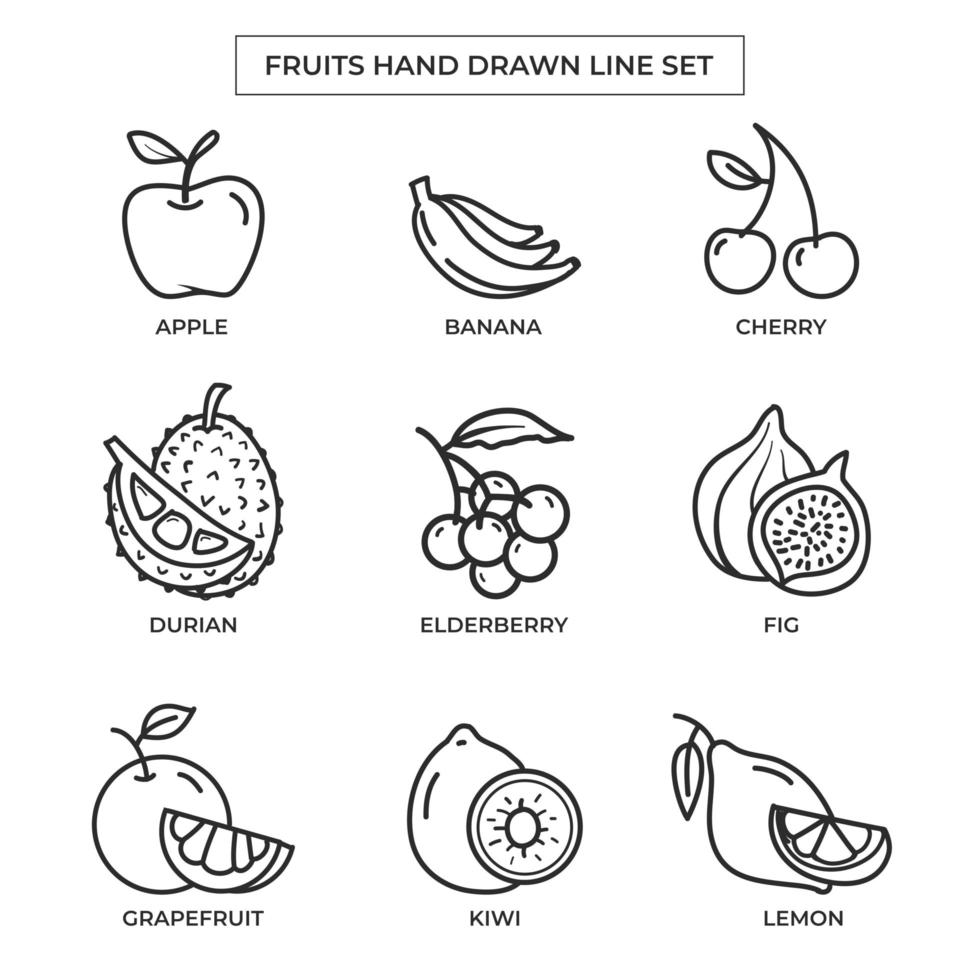 frutas dibujadas a mano con un conjunto de arte lineal vector