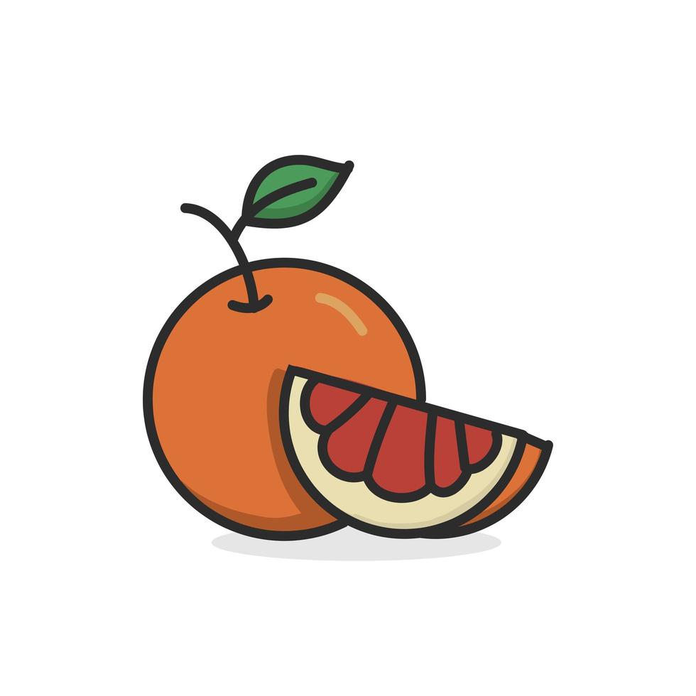 Grapefruit hand drawn illustration flat color vector