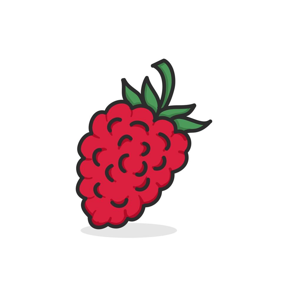 Raspberry hand drawn illustration flat color vector