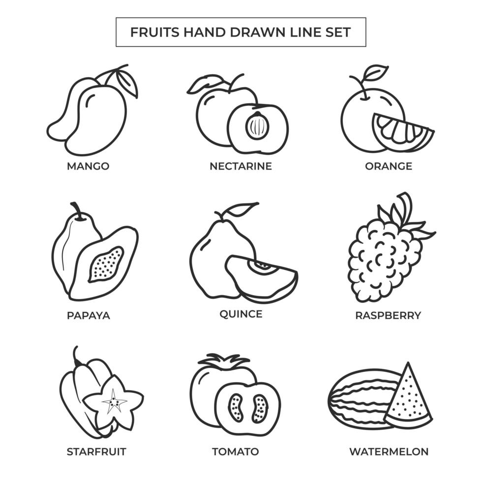 Hand drawn fruits with line art setFruits hand drawn with line art set vector