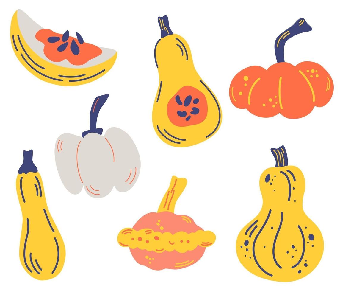 Set of pumpkin. Various pumpkins. vector
