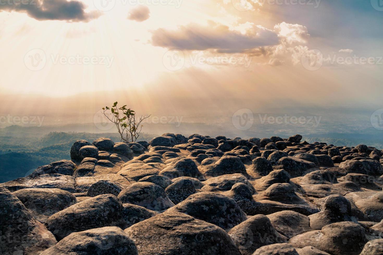 Hermoso acantilado de piedra al atardecer con fondo de bosque y montaña foto