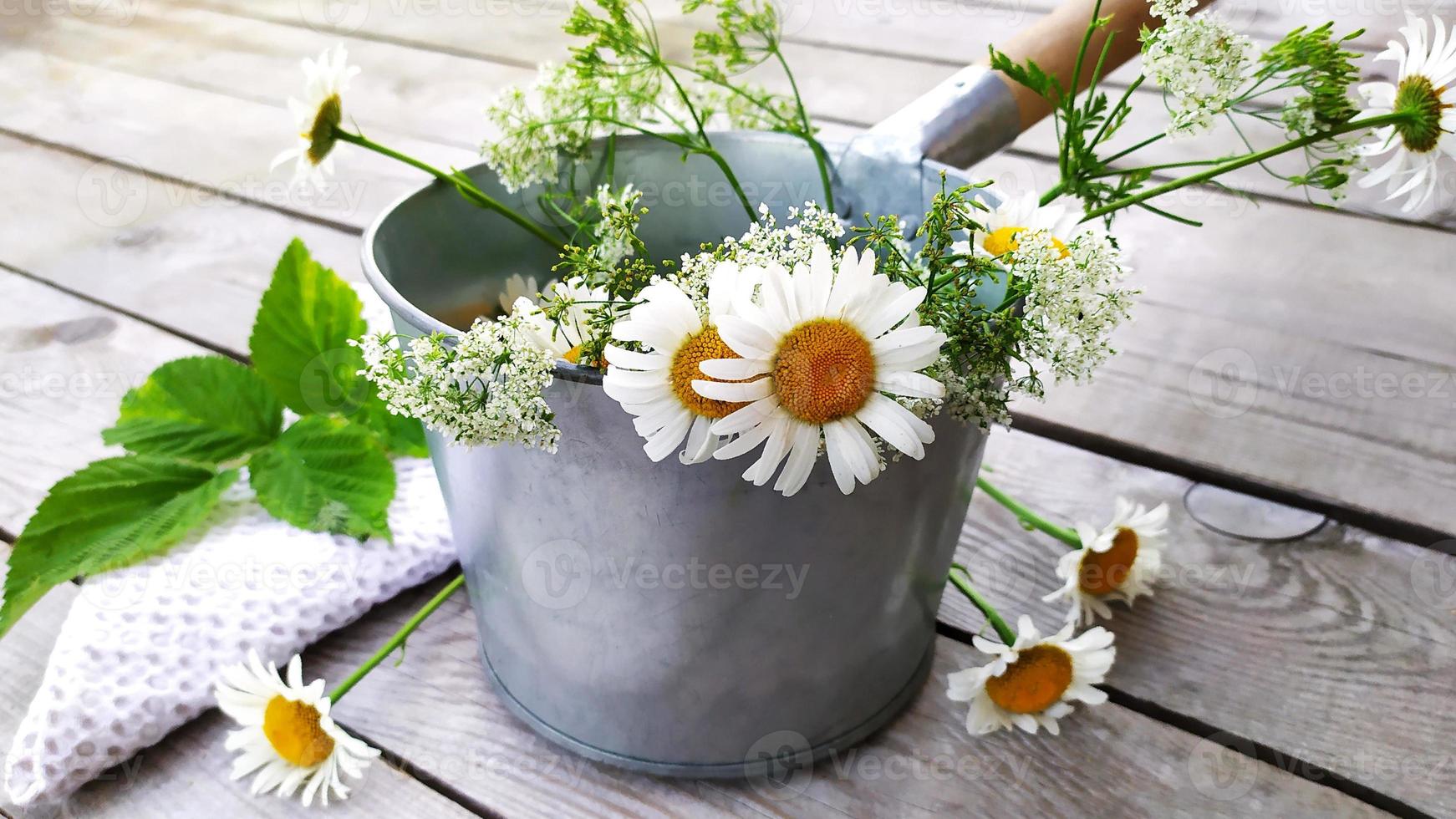 Chamomile. A bouquet of field daisies in a metal bucket. Bath ladle. photo