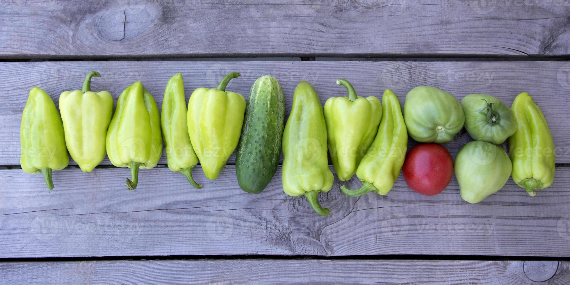 Bulgarian pepper. Horizontal background of peppers, cucumbers photo