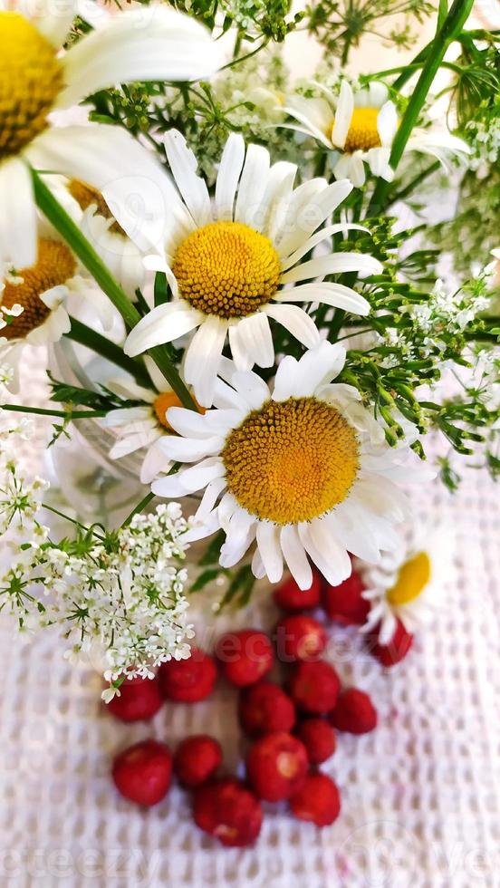 Chamomile and strawberry. A bouquet of wild flowers in a vase photo