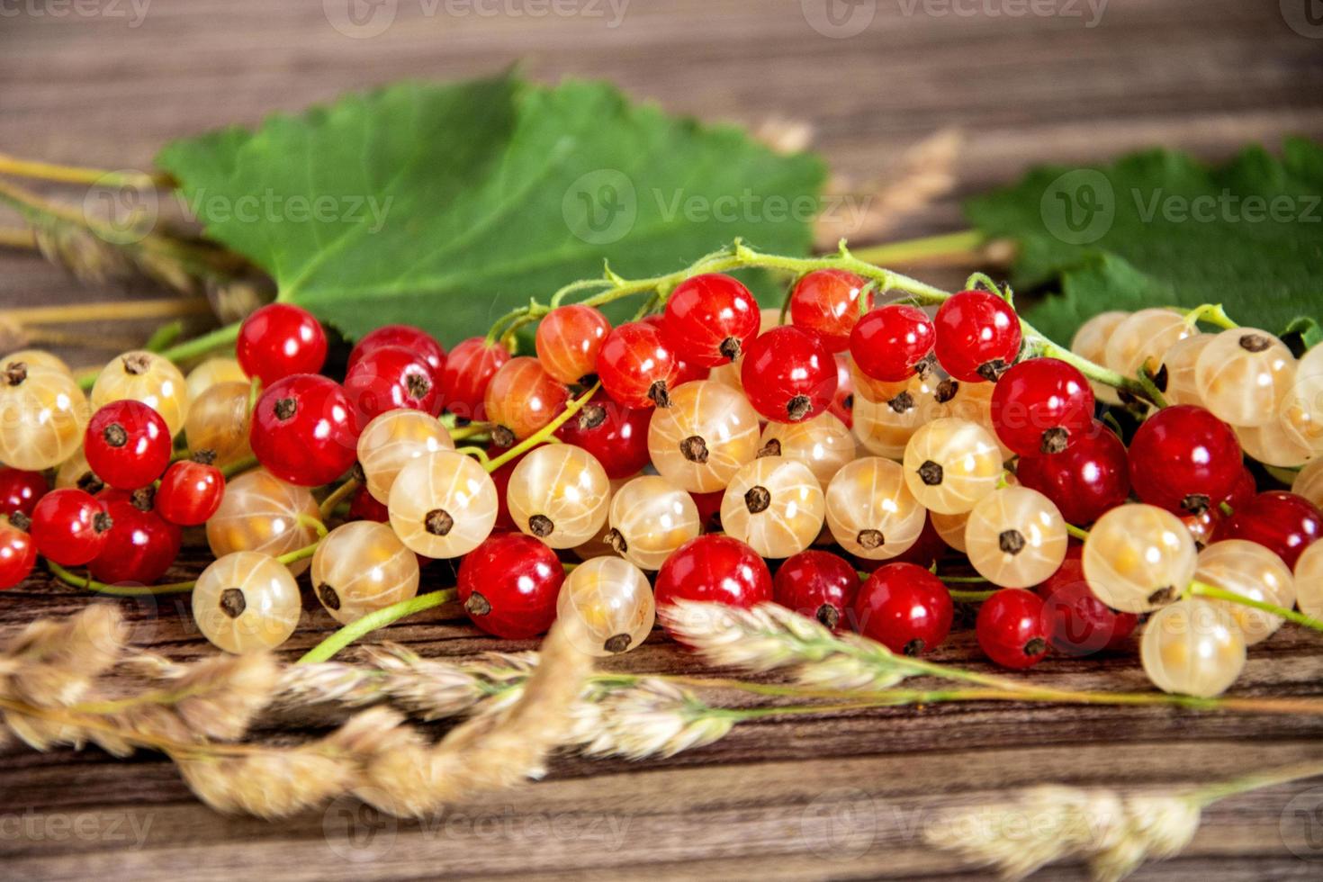 Red and white currants with green leaves in a heap close-up. photo