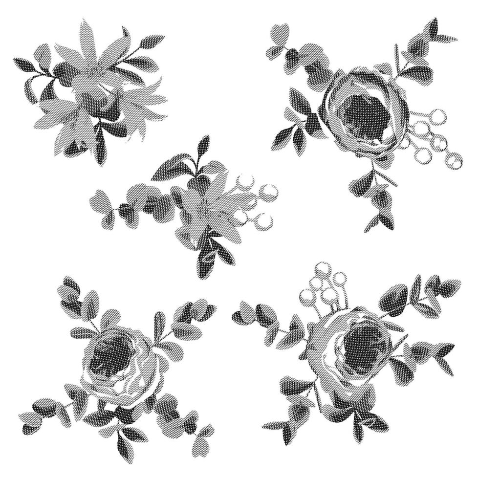Collection hatched drawing design of flowers and leaves vector