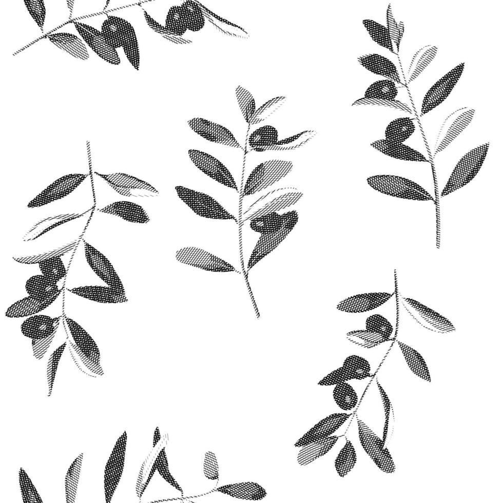 Olives and branches hatching vintage vector set