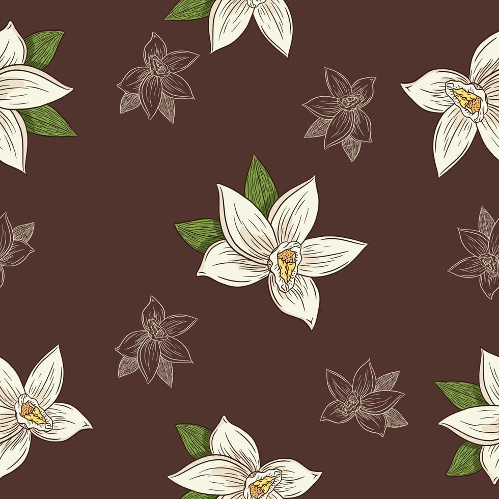 flores de vainilla dibujadas a mano en patrones sin fisuras de estilo vintage vector