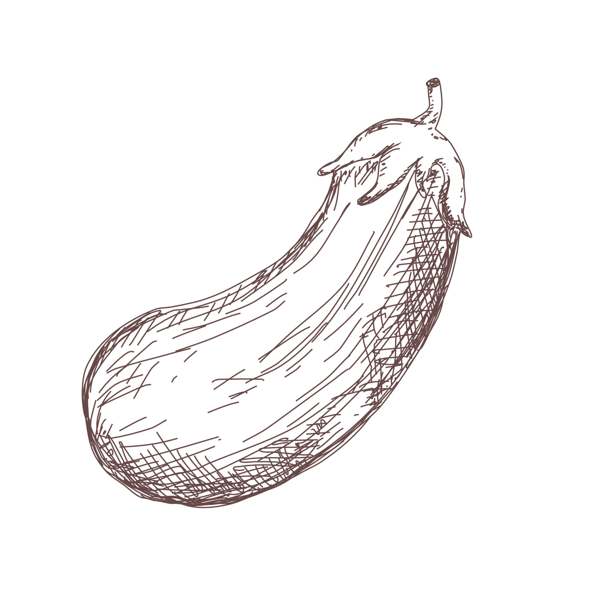 857 Brinjal Drawing Images Stock Photos  Vectors  Shutterstock