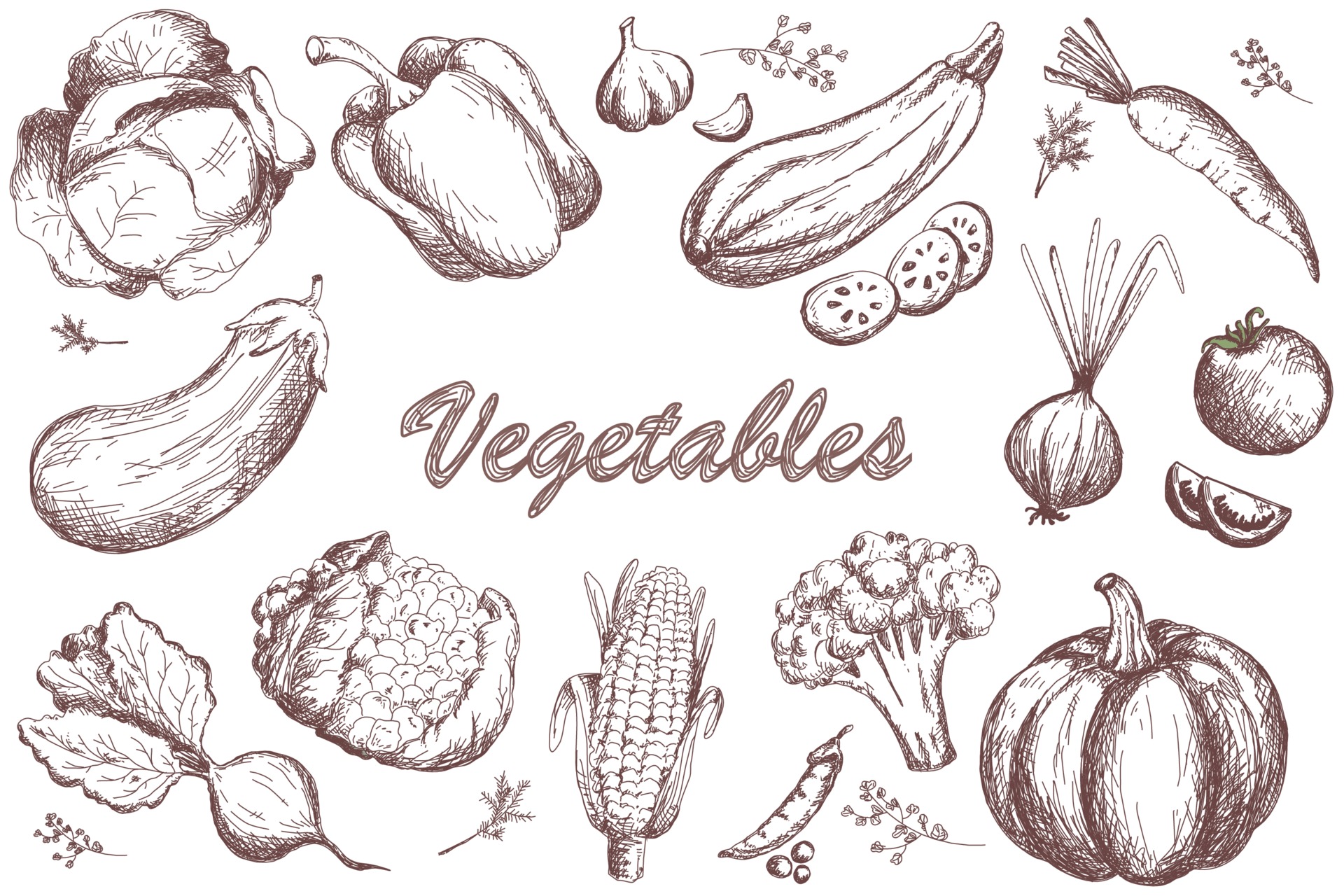 How To Draw a Vegetable GardenLandscape SceneryEasy Drawing  YouTube