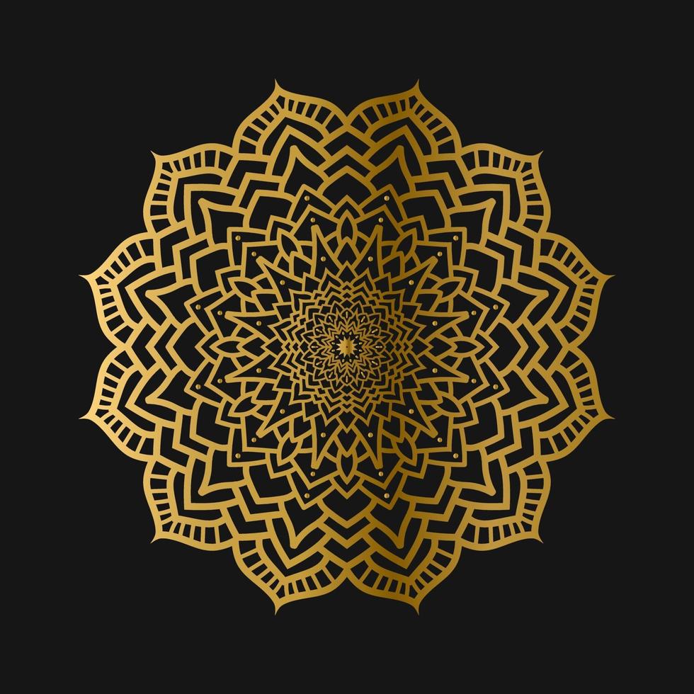Luxury mandala pattern background design vector