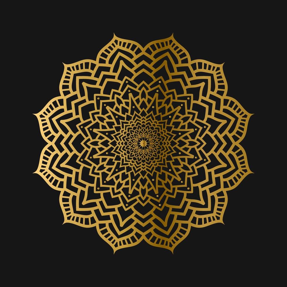 Luxury mandala pattern background design vector