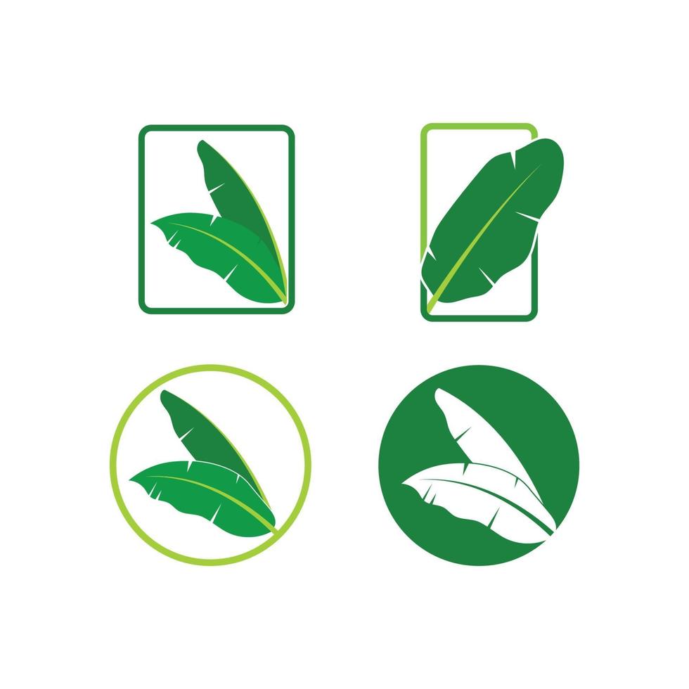 banana leaves element vector icon illustration