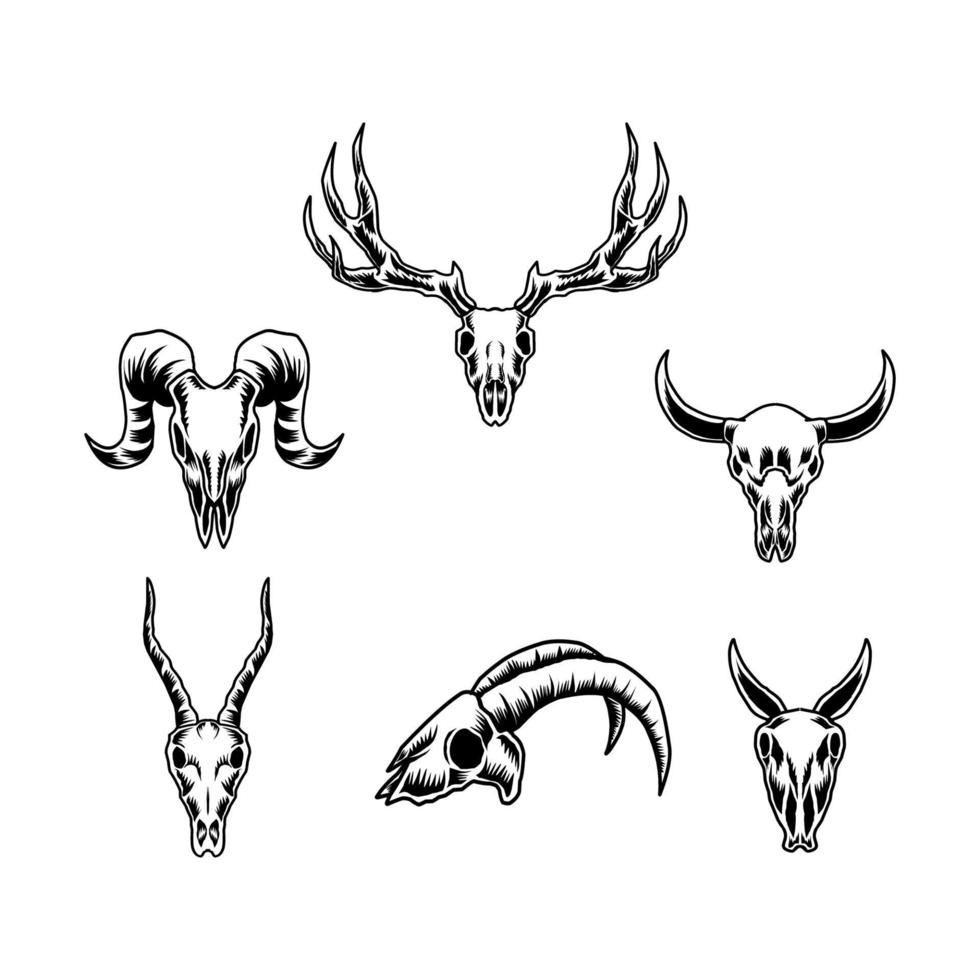 conjunto de ilustración de vector de cráneo de cabra