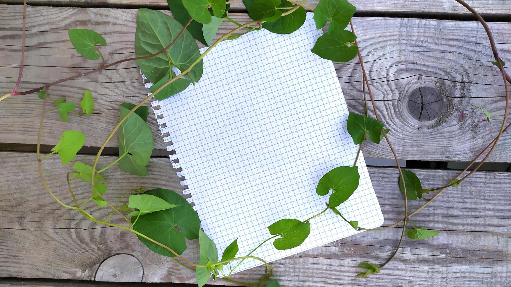 Blank paper on a wooden background in the leaves of loach. photo