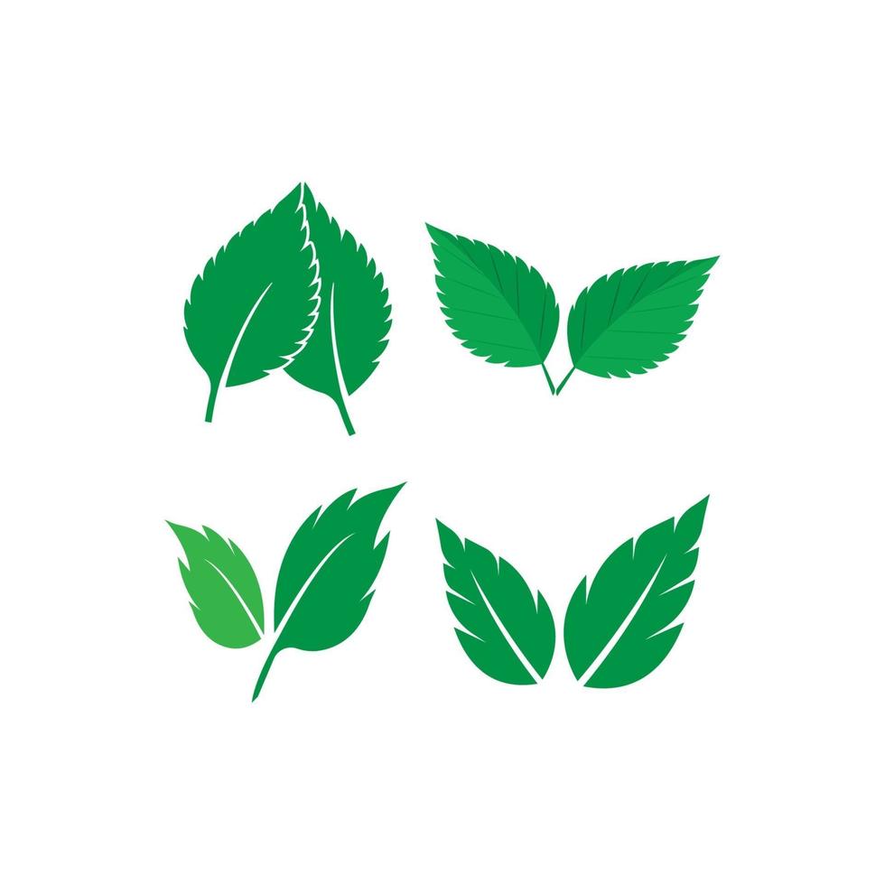 logo de hoja de menta vector