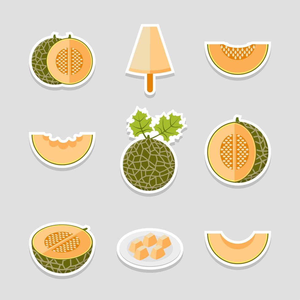 melón para el paquete de pegatinas de frutas de verano vector